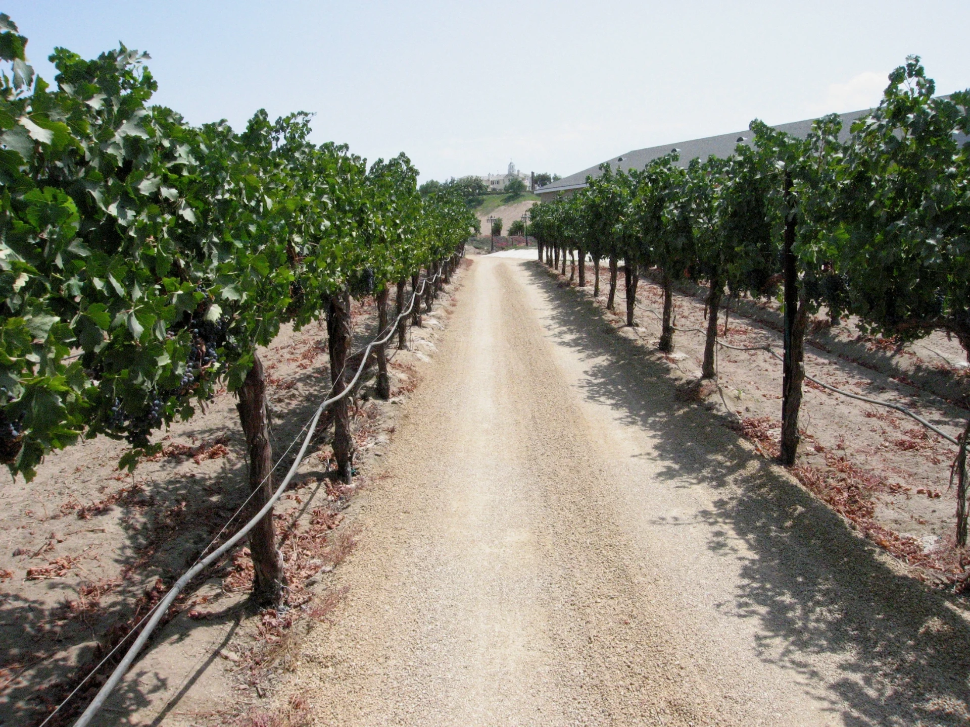 Temecula wine country trail