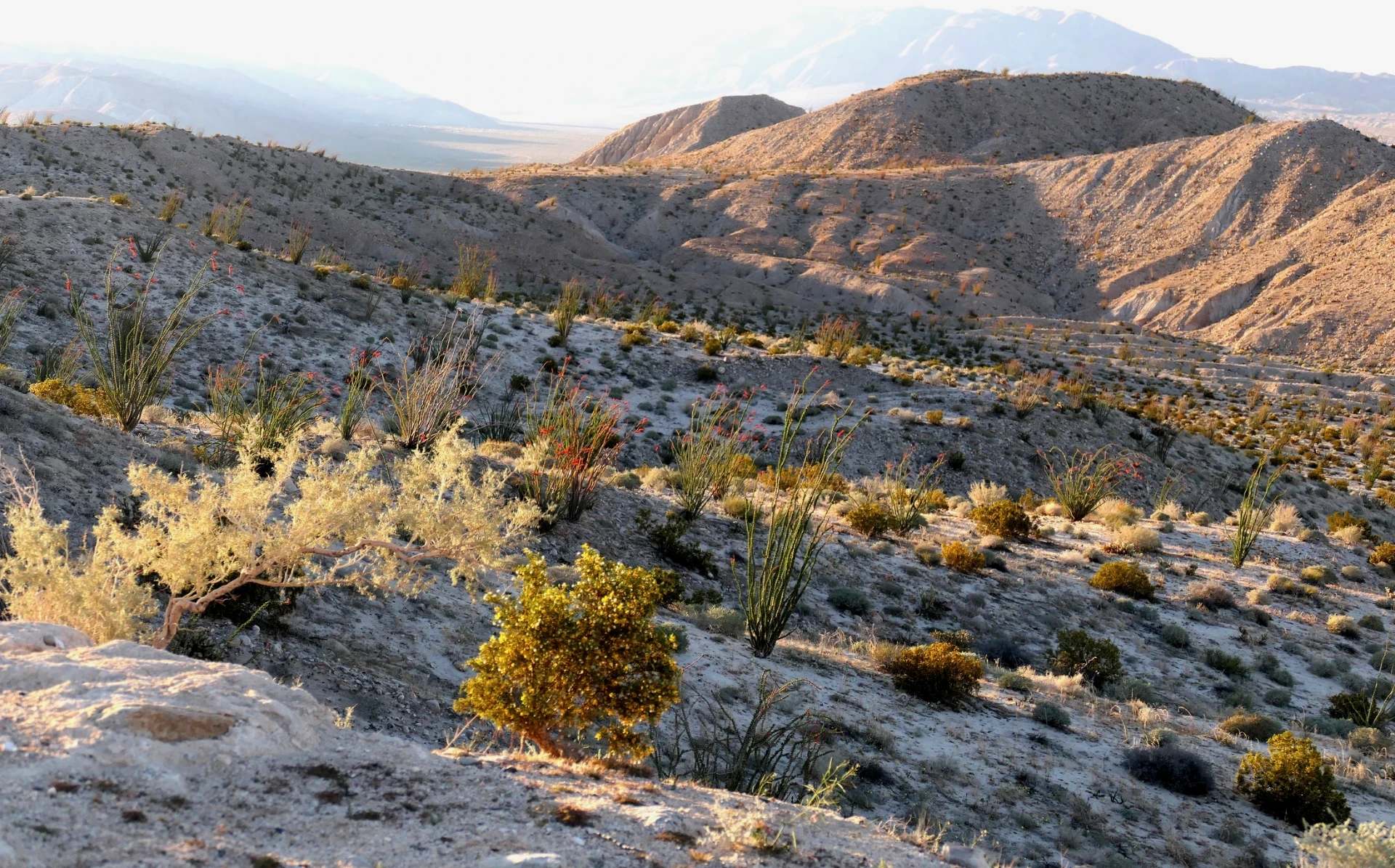 Desert hills near Julian